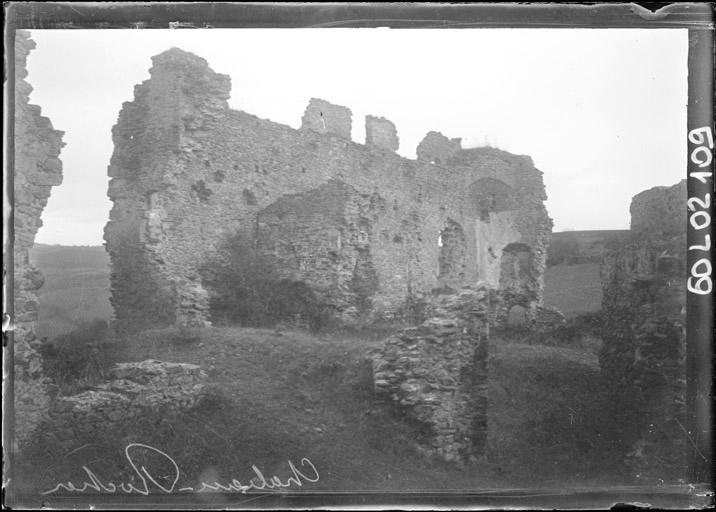 photo pour Ruines du ChÃ¢teau fort de Blot-le-Rocher, dit ChÃ¢teau Rocher