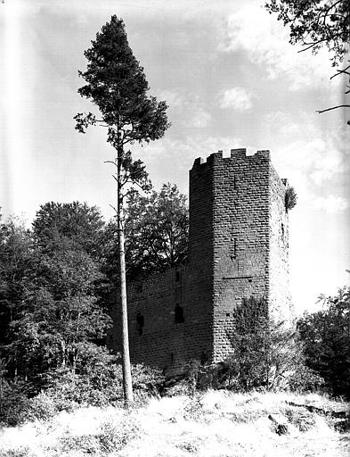 photo pour Ruines du chÃ¢teau Wangenbourg