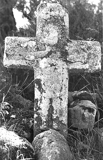 photo pour Croix monumentale sur la R.D. 51, entre Langladure et l'arbre au Mont