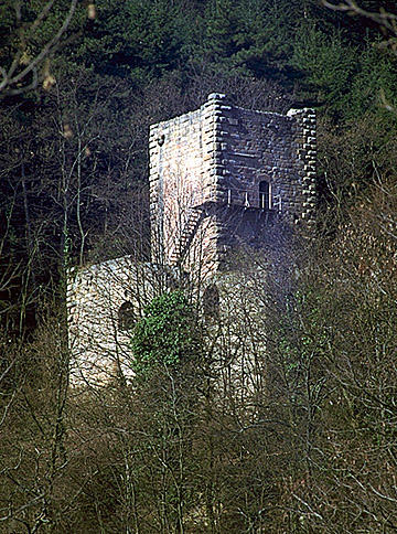 photo pour Ruines du chÃ¢teau de Hagueneck