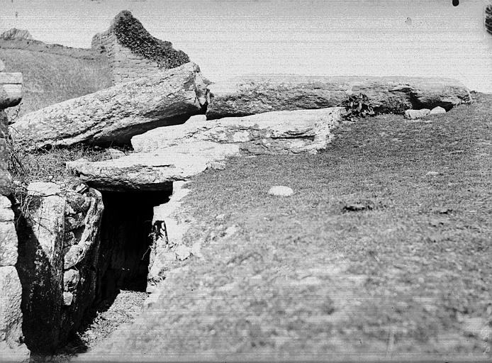 photo pour Tumulus avec dolmen du ManÃ©-NÃ©lud