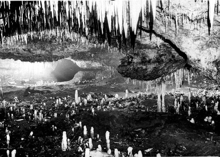 photo pour Grotte prÃ©historique du Pas-de-JouliÃ© (partie)