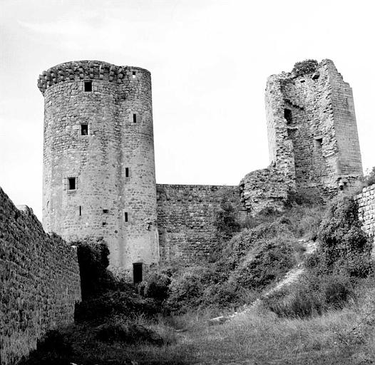 photo pour Ruines du ChÃ¢teau fort de Rochebaron