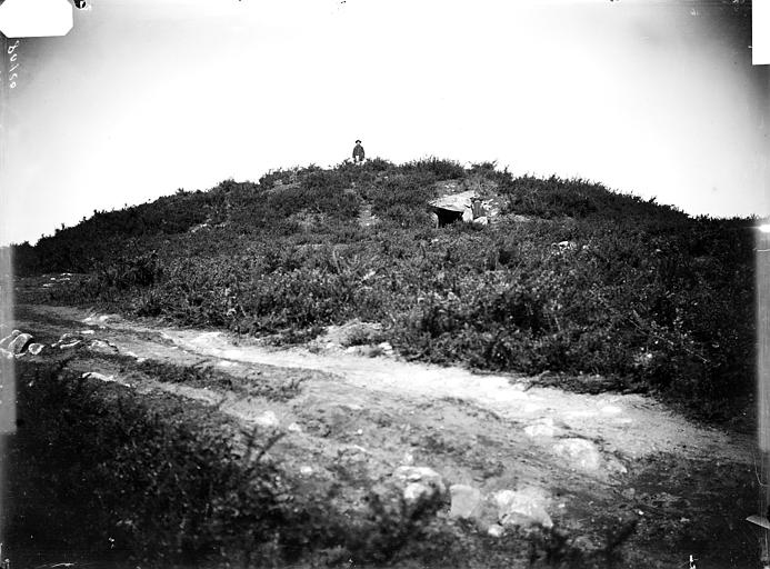 photo pour Tumulus-dolmen du Rocher