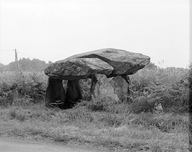 photo pour Dolmen de La Croix-du-Breuil