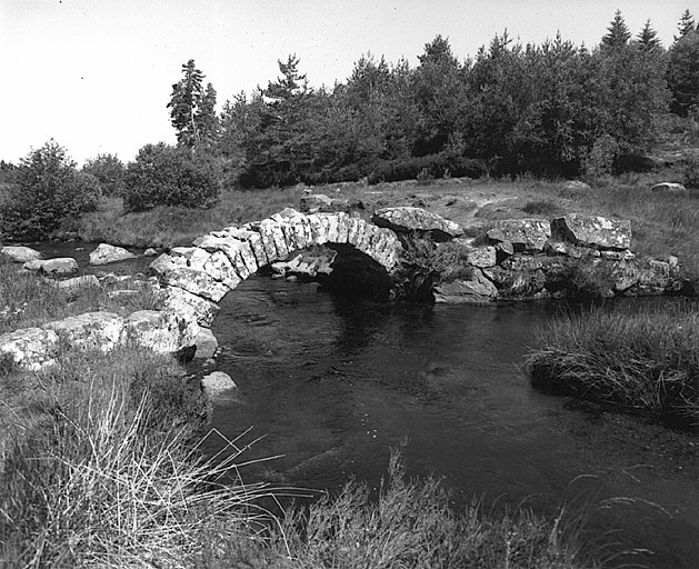 photo pour Pont de SÃ©noueix