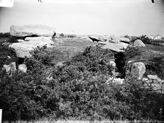 photo pour Trois dolmens dans le tumulus de Rondossec