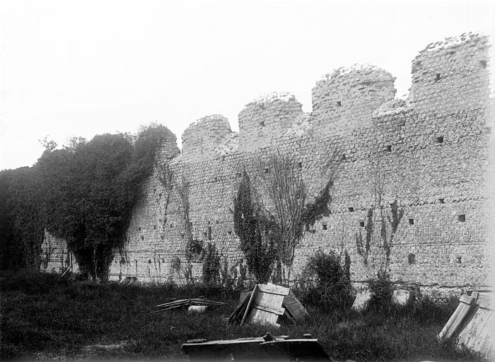 photo pour Ruines romaines des Mazelles