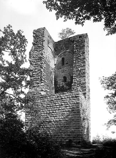 photo pour Ruines du chÃ¢teau du Grand-Geroldseck