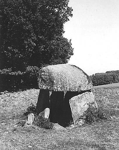 photo pour dolmen de la Pierre Folle