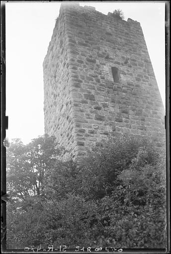 photo pour Ruines des chÃ¢teaux de Weckmund et de Wahlenbourg