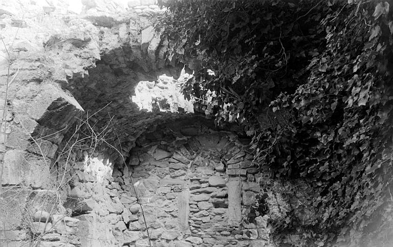 photo pour Eglise de Saint-Vincent de Savignac (ruines)
