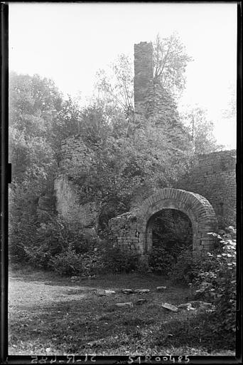 photo pour Ruines du chÃ¢teau de Morimont